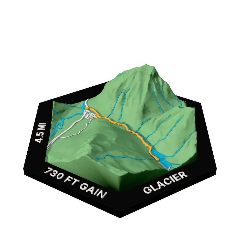 Glacier Regular hex with Avalanche Lake Trail raised on the terrain