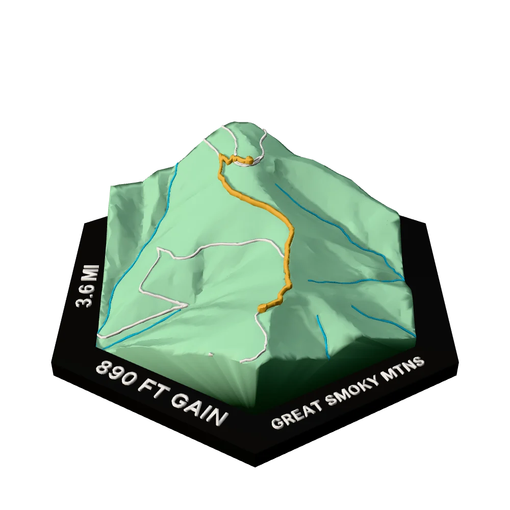 Great Smoky Mountains Regular hex with Forney Ridge Trail to Andrews Bald raised on the terrain