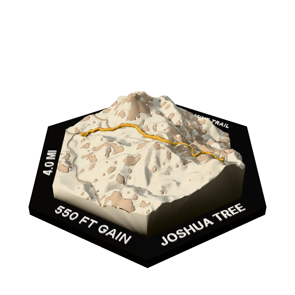 Joshua Tree Regular hex with Lost Horse Mine Trail raised on the terrain