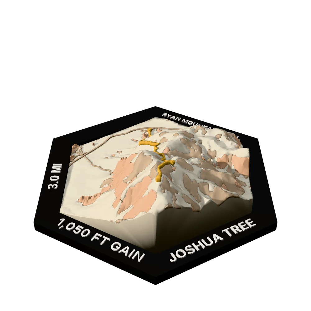 Joshua Tree Regular hex with Ryan Mountain Trail raised on the terrain