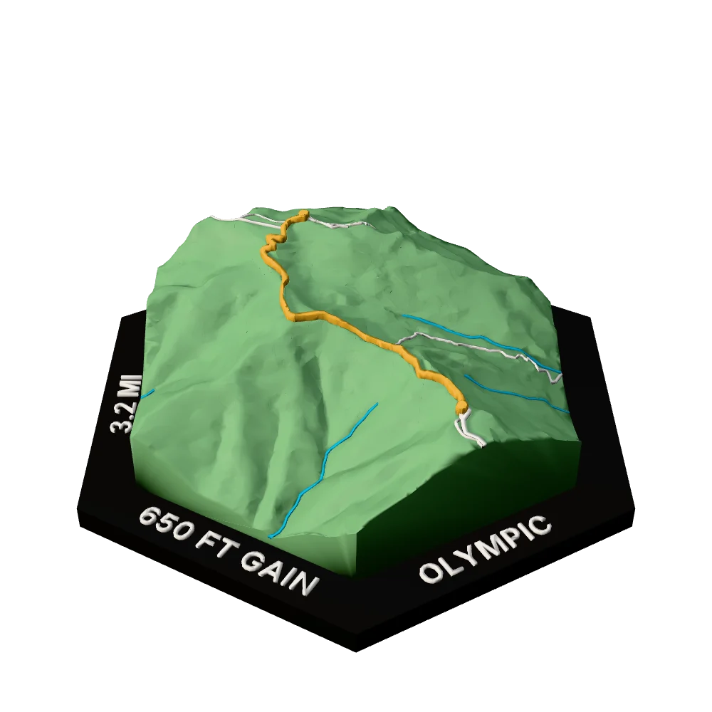 Olympic Regular hex with Hurricane Hill Trail raised on the terrain