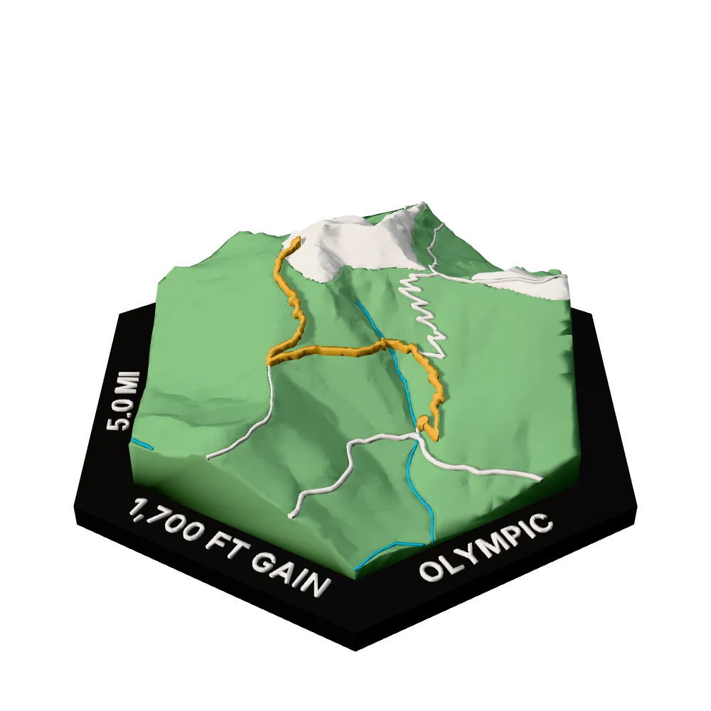 Olympic Regular hex with Klahhane Ridge Trail raised on the terrain