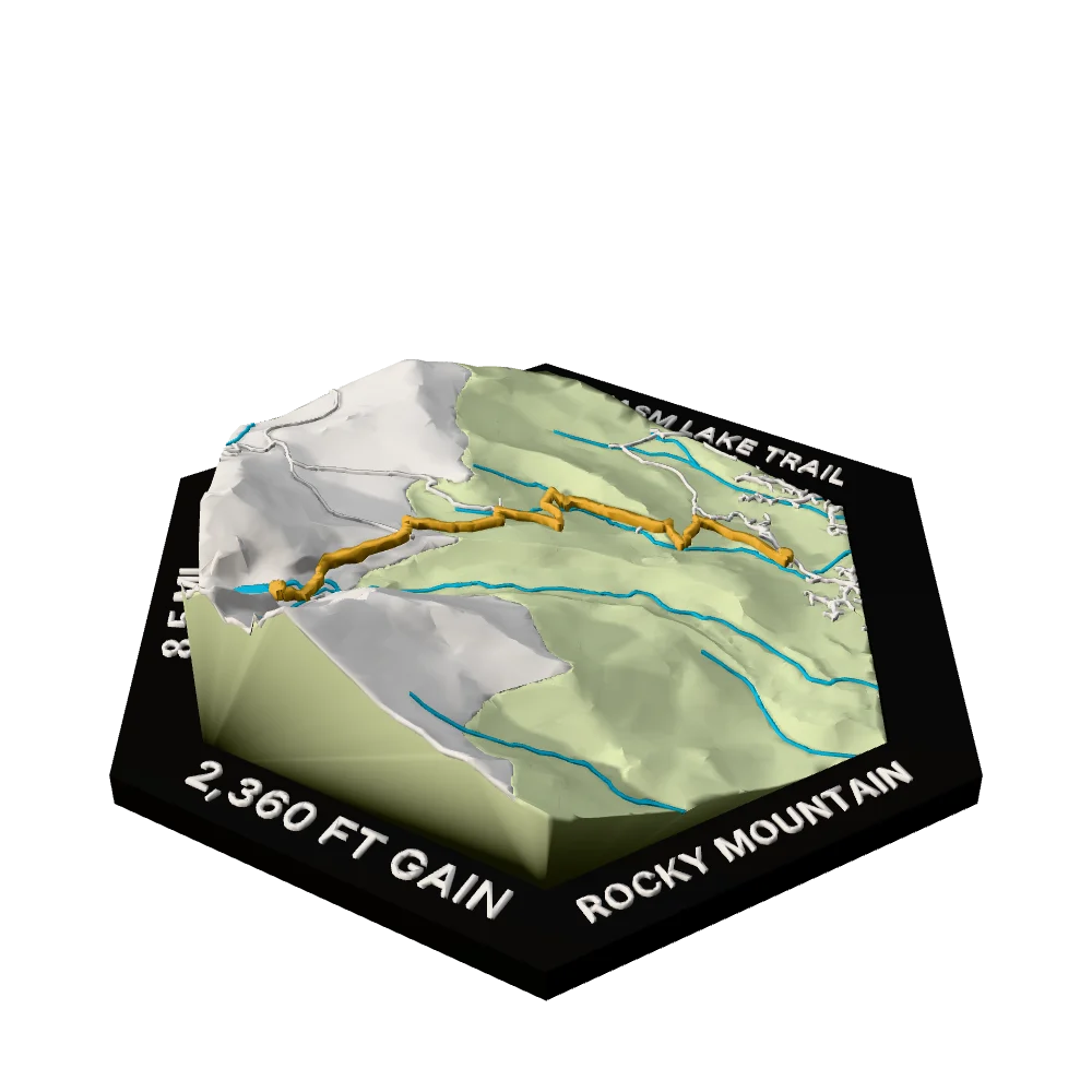 Rocky Mountain Regular hex with Chasm Lake Trail raised on the terrain