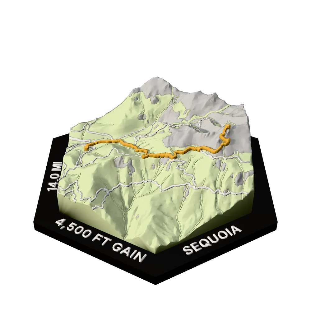 Sequoia Regular hex with Alta Peak Trail raised on the terrain