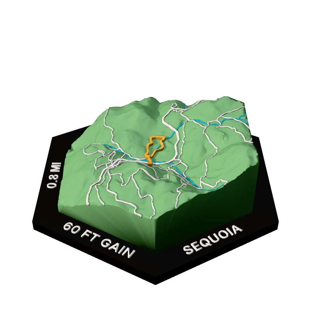 Sequoia Regular hex with Big Trees Trail raised on the terrain