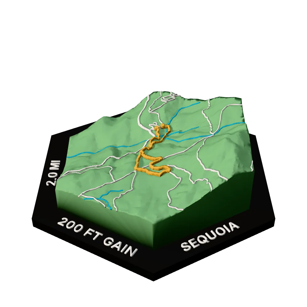 Sequoia Regular hex with Congress Trail raised on the terrain