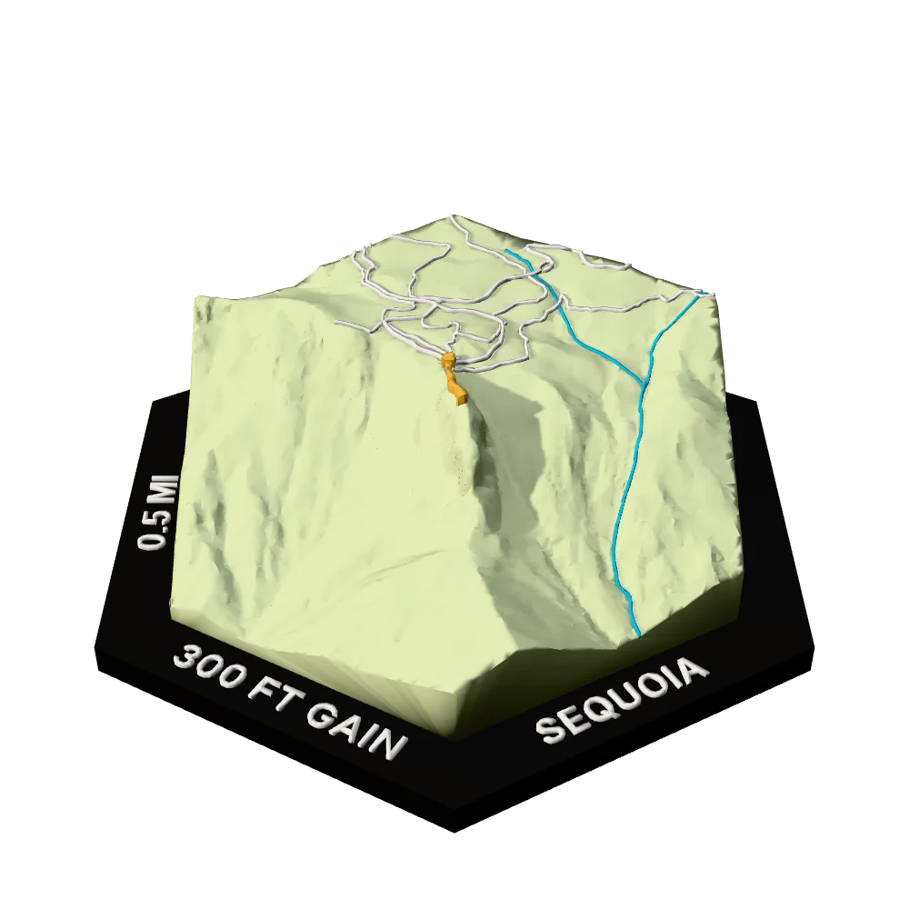 Sequoia Regular hex with Moro Rock Trail raised on the terrain