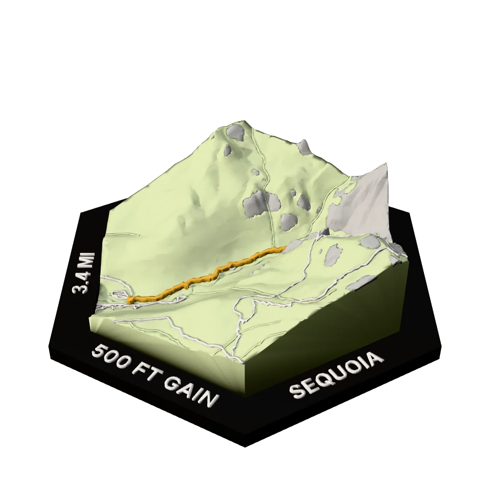 Sequoia Regular hex with Tokopah Falls Trail raised on the terrain