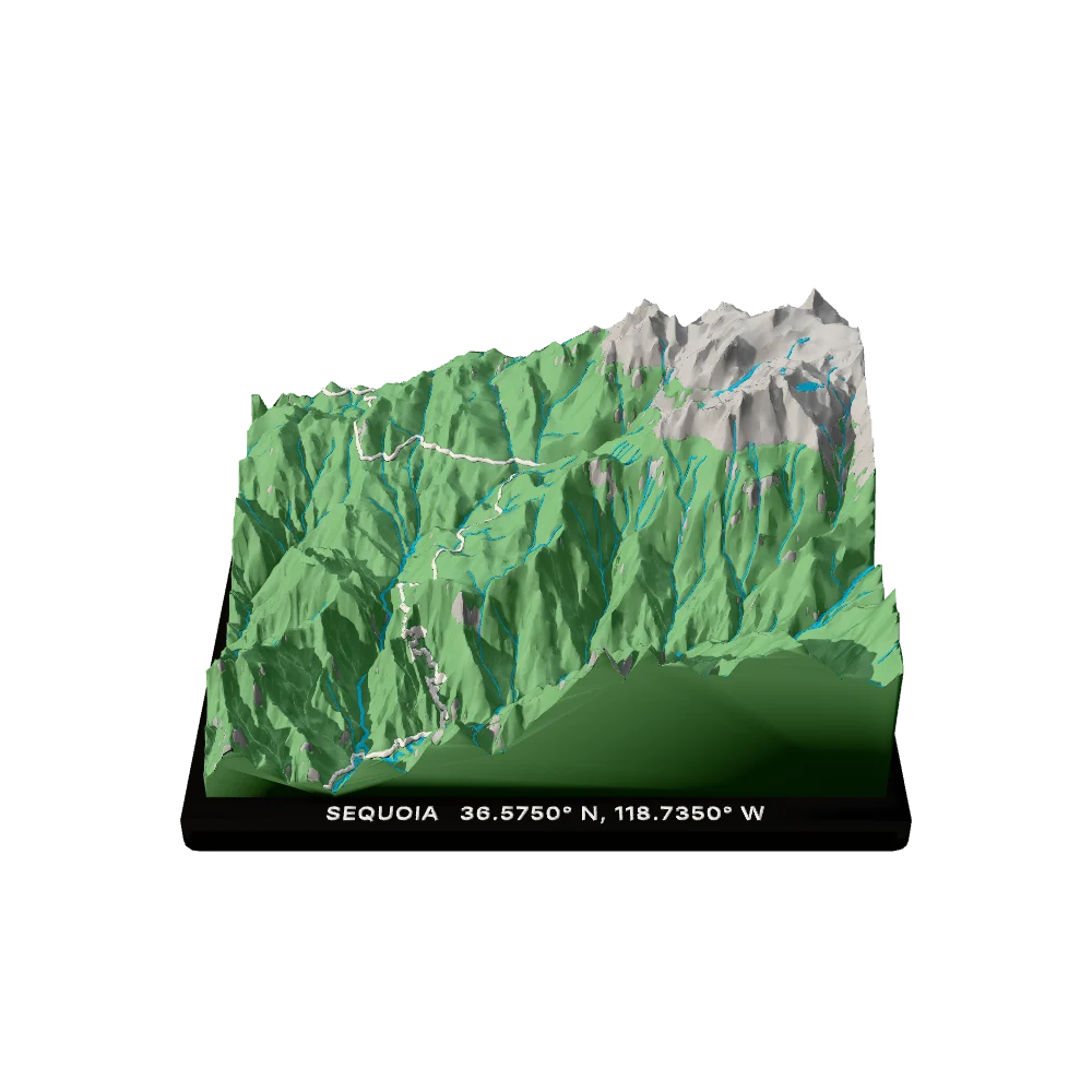 Sequoia National Park terrain block